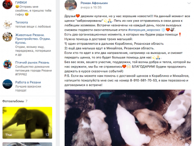 VK-viesti, kuka ja milloin ottaa pennun