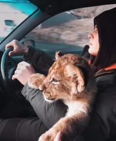 Simba omistajan kanssa
