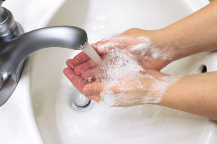 Koiran ihmisen hygienia leptospiroosin kanssa