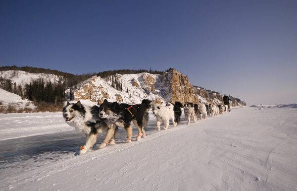 monet Yakut-huskyt